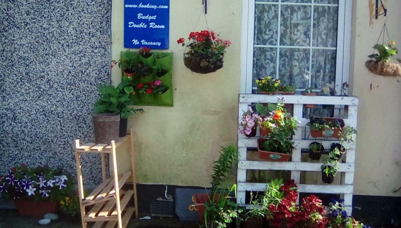 City Cottage Guest House พลีมัธ ภายนอก รูปภาพ